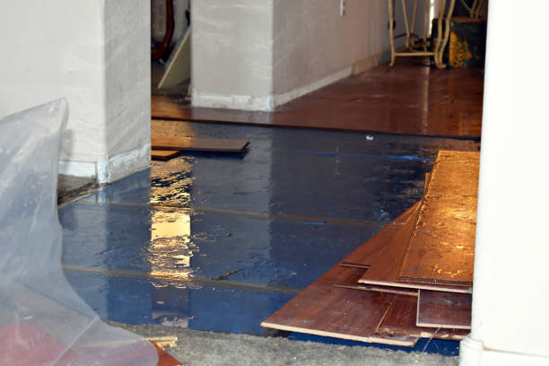 Professional Basement Flood Cleanup technician working in Redwood, MS